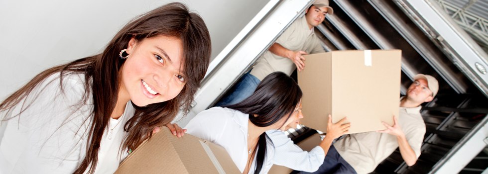 Professional Removalists Nashdale